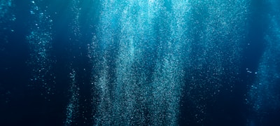 篮球运动员个人数据统计表，包含得分篮板助攻等