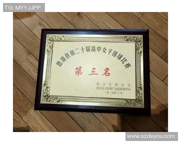 深圳排球队强势崛起排球力量排行榜荣获第三名的背后故事